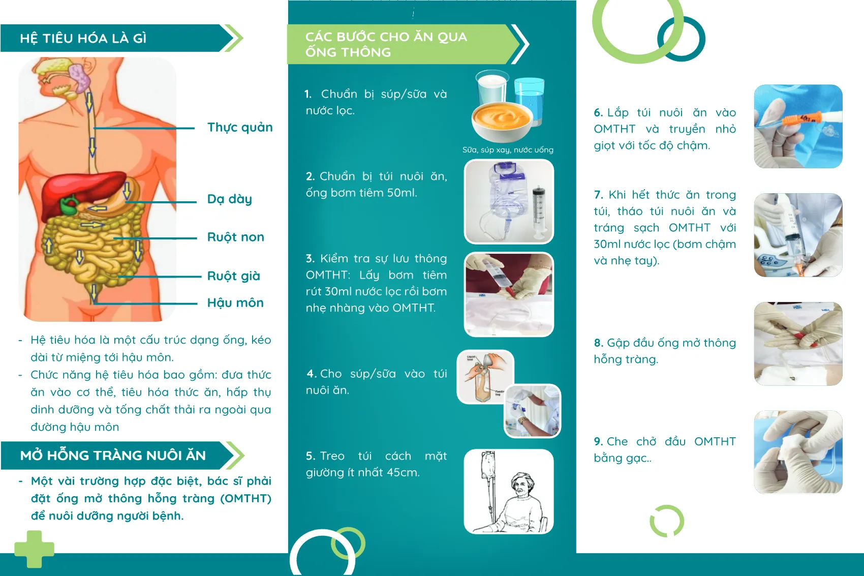 to roi huong dan ky thuat an qua ong mo thong hong trang_2.webp